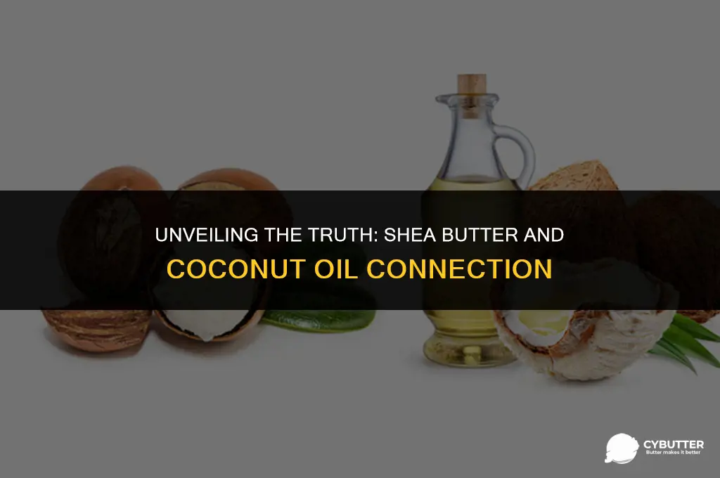 does shea butter have coconut oil in it