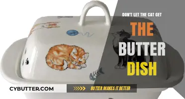 Protect Your Butter Dish: Tips to Outsmart Curious Cats