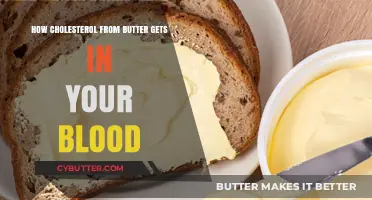 Butter's Cholesterol Journey: How It Enters and Impacts Your Bloodstream