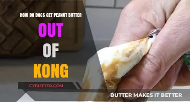 Mastering the Kong: How Dogs Extract Peanut Butter with Skill and Fun