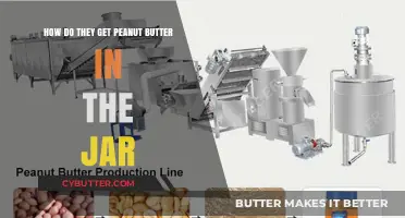 From Roasted Peanuts to Jars: The Peanut Butter Production Journey