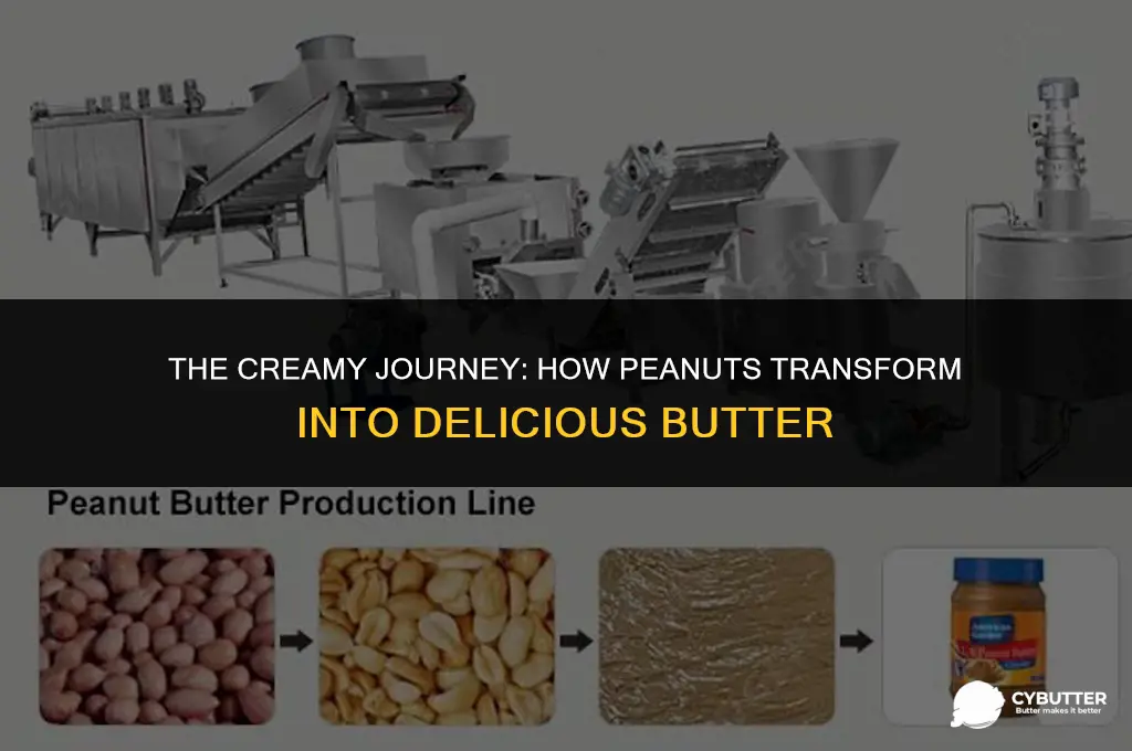 how do they make peanut butter