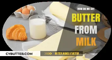 From Milk to Butter: A Simple Step-by-Step Process Explained