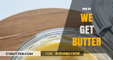 From Cream to Butter: A Simple Guide to Homemade Butter Making