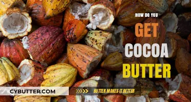 Extracting Cocoa Butter: A Step-by-Step Guide to Obtaining this Luxurious Ingredient