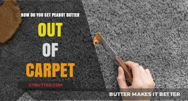 Effective Tips to Remove Peanut Butter Stains from Your Carpet