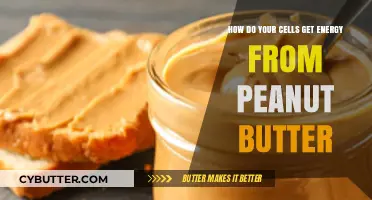 Unlocking Cellular Energy: How Peanut Butter Fuels Your Body's Power