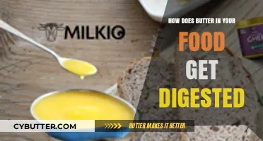 Butter Digestion Explained: How Your Body Breaks Down This Creamy Fat