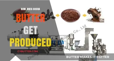 From Bean to Butter: The Art of Producing Cocoa Butter