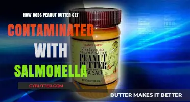 Uncovering Salmonella Contamination in Peanut Butter: Causes and Prevention
