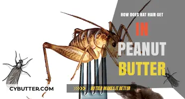 Uncovering the Mystery: How Rat Hair Contaminates Peanut Butter