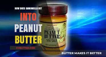How Salmonella Contaminates Peanut Butter: Causes and Prevention Tips
