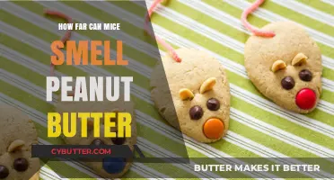 The Incredible Sense of Smell: Mice and Peanut Butter