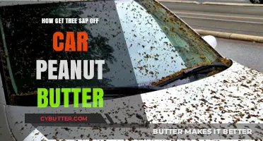 Remove Tree Sap from Your Car with Peanut Butter: A Simple Hack