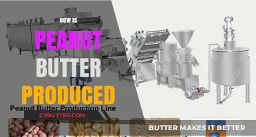 From Peanuts to Perfection: The Journey of Peanut Butter Production
