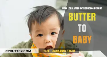 Introducing Peanut Butter to Your Baby: A Timeline for Parents