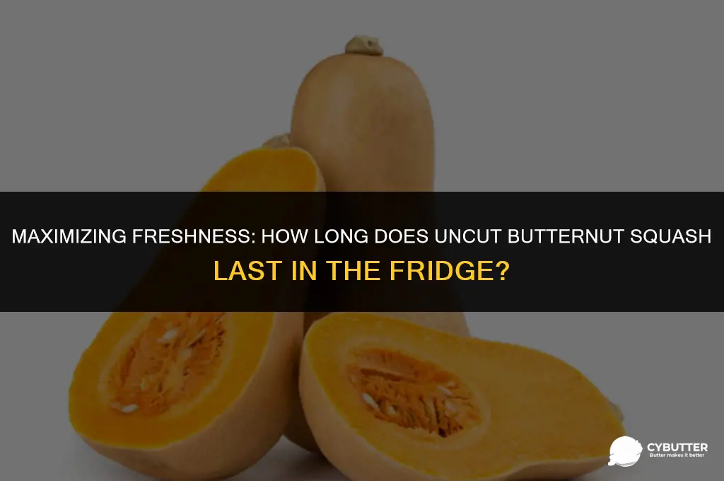 how long butter nut squash in fridge uncut