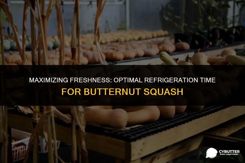 how long butter nut squash in fridge