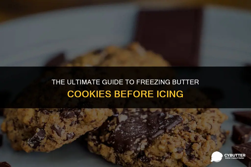 how long can butter cookies be frozen befor icing