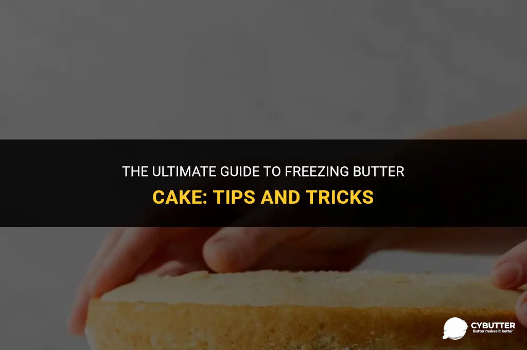 how long can i keep butter cake in freezer