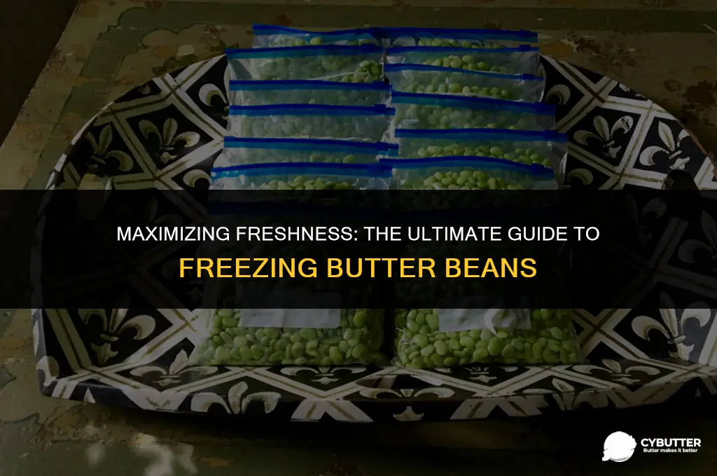 how long can keep frozen butter beans in freezer