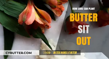 The Shelf Life of Plant Butter: A Comprehensive Guide