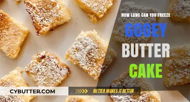 Preserving Perfection: The Ultimate Guide to Freezing Gooey Butter Cake