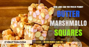 Peanut Butter Marshmallow Squares: The Ultimate Freezing Guide