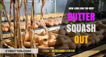 Maximizing Freshness: The Ultimate Guide to Storing Butter Squash