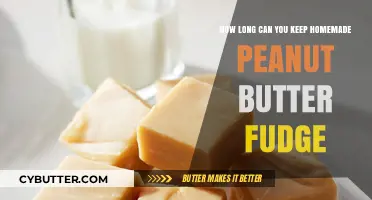Homemade Peanut Butter Fudge: A Guide to Freshness and Storage
