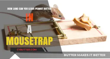 The Surprising Shelf Life of Peanut Butter in a Mousetrap