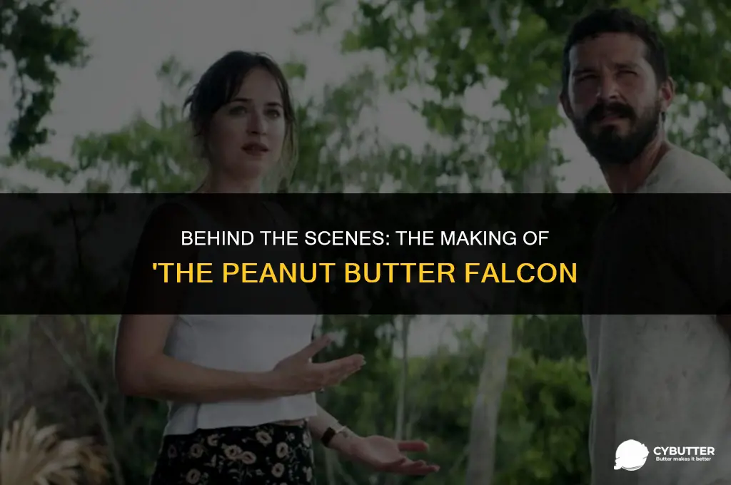 how long did it take to film peanut butter falcon