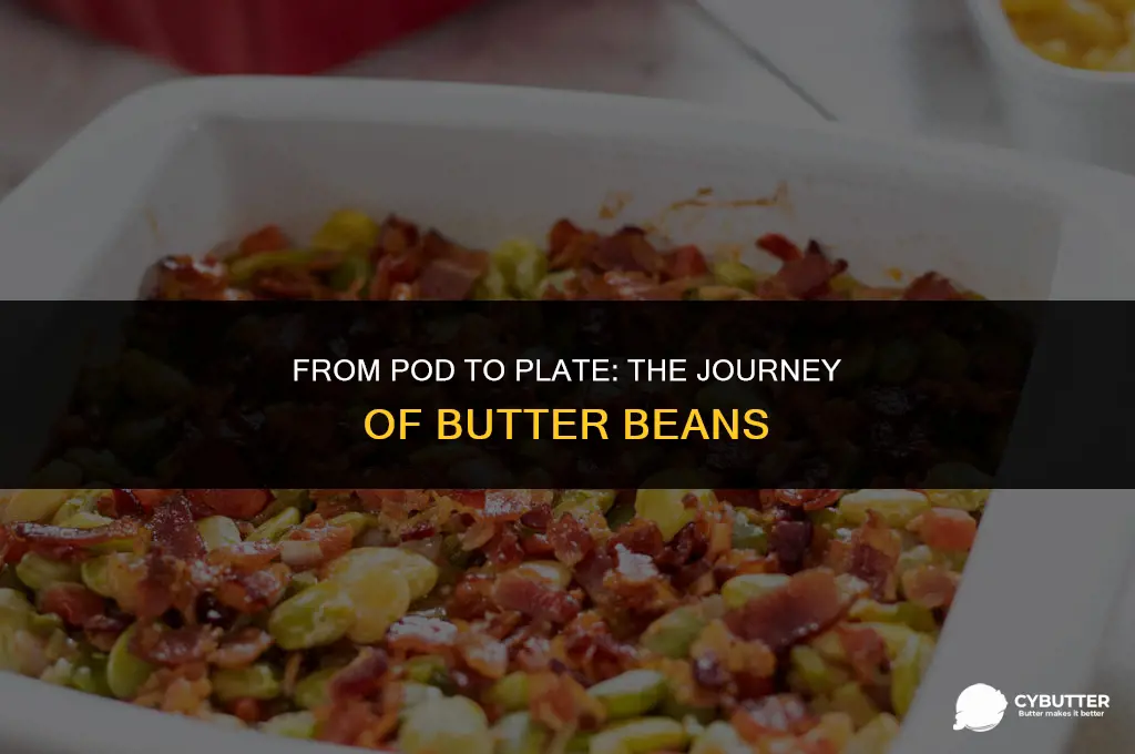 how long do butter beans take