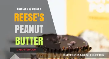 Decoding Digestion: The Surprising Journey of a Reese's Peanut Butter Cup