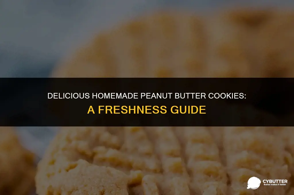 how long do homemade peanut butter cookies stay fresh