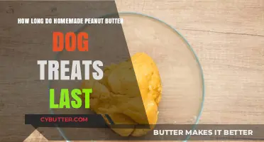 Homemade Peanut Butter Dog Treats: A Guide to Their Shelf Life