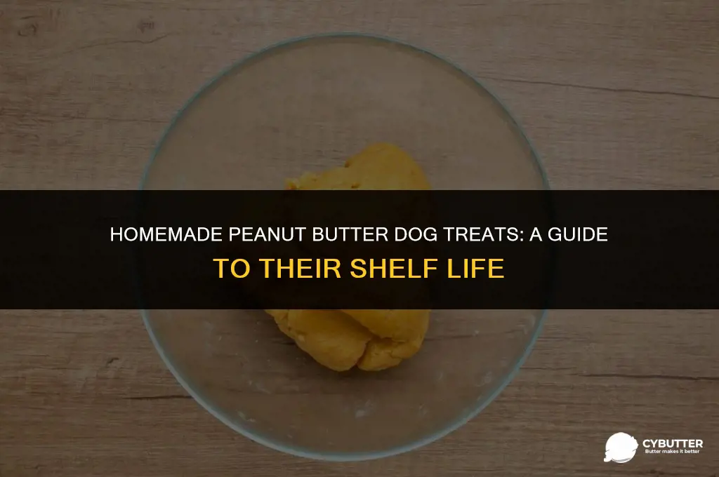 how long do homemade peanut butter dog treats last