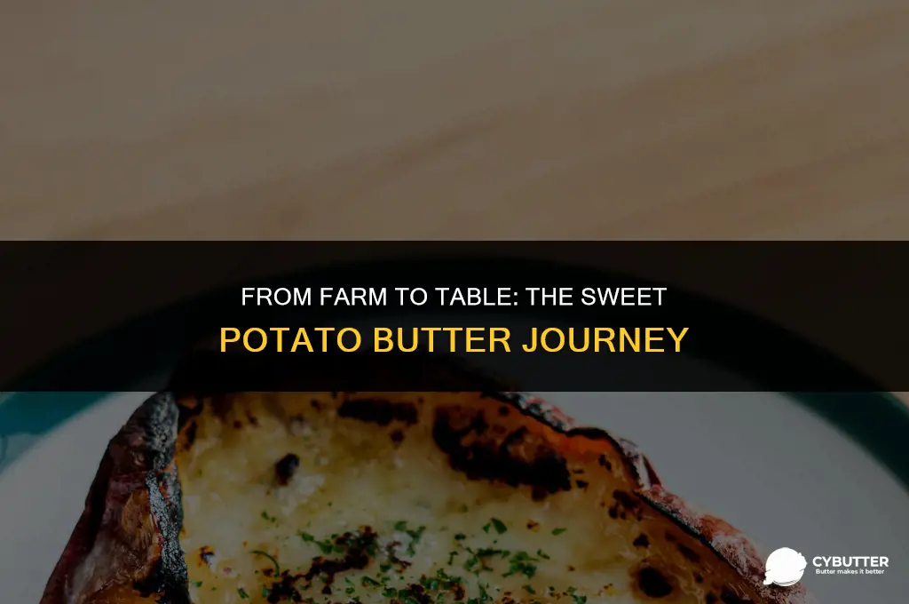 how long do i process sweet potato butter