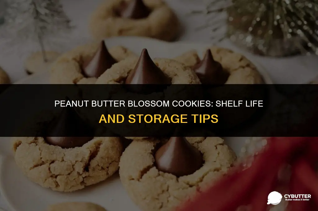 how long do peanut butter blossom cookies last