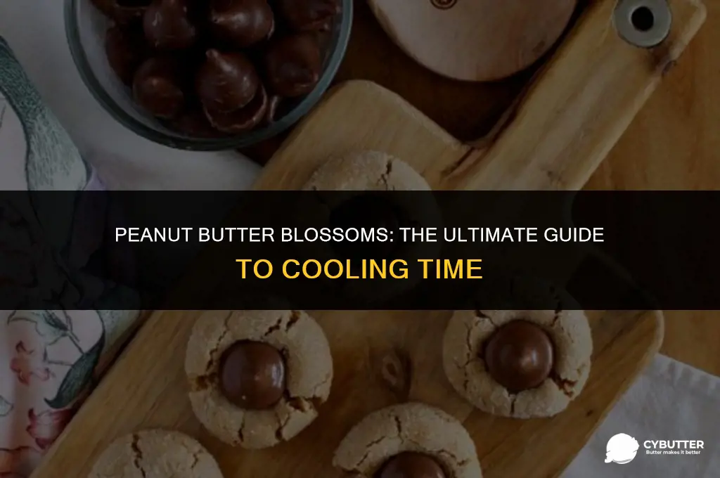 how long do peanut butter blossoms take to cool