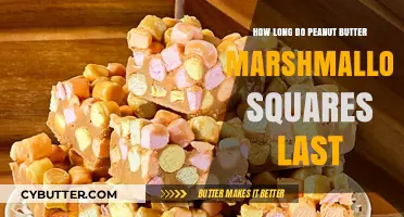 Peanut Butter Marshmallow Squares: Shelf Life and Storage Tips
