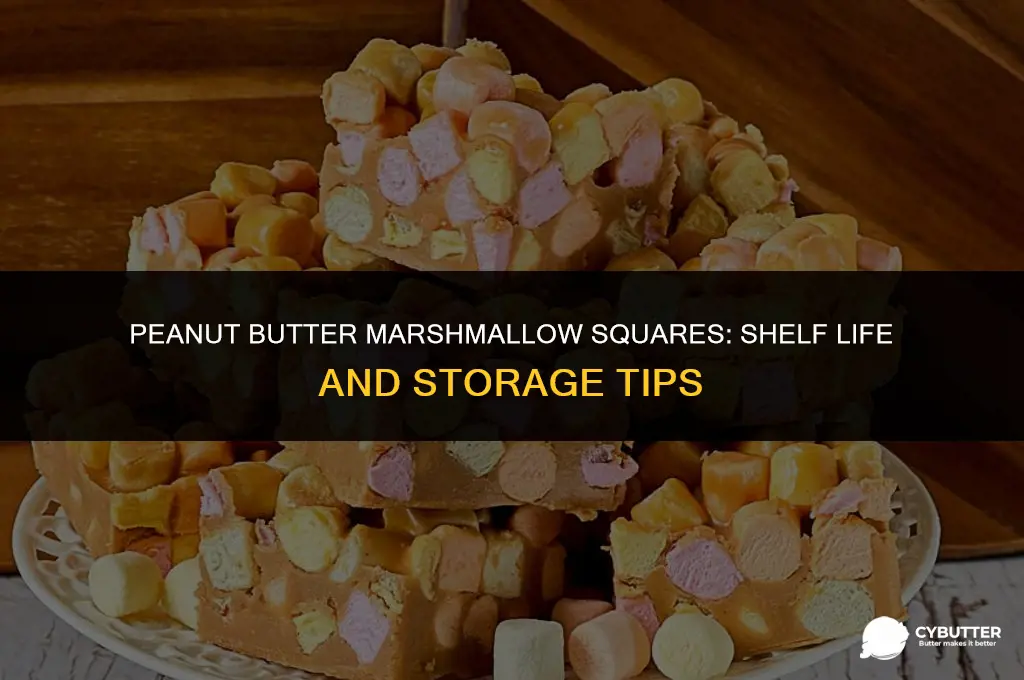 how long do peanut butter marshmallow squares last