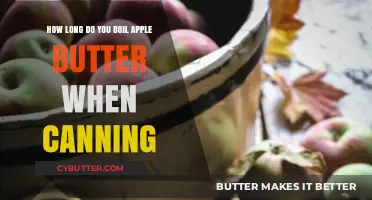 Perfectly Preserved: Mastering the Art of Canning Apple Butter
