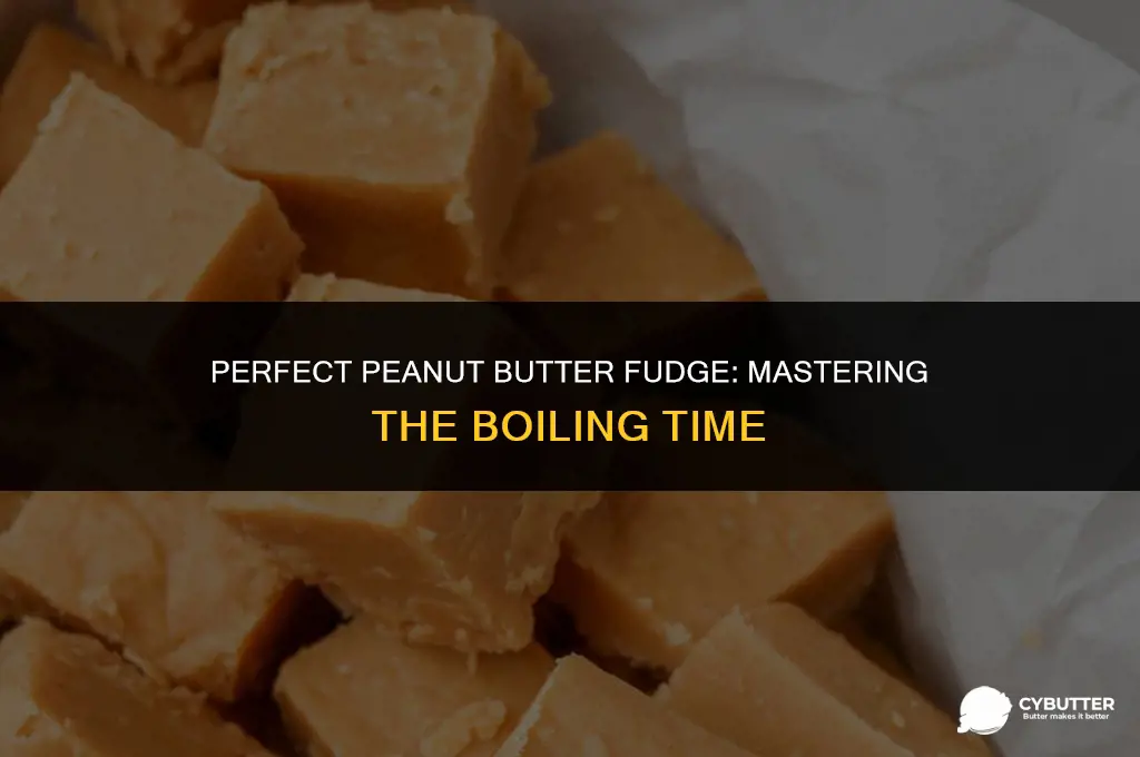 how long do you boil peanut butter fudge