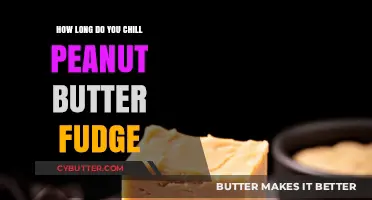 Chilling Peanut Butter Fudge: A Guide to Perfect Texture and Flavor