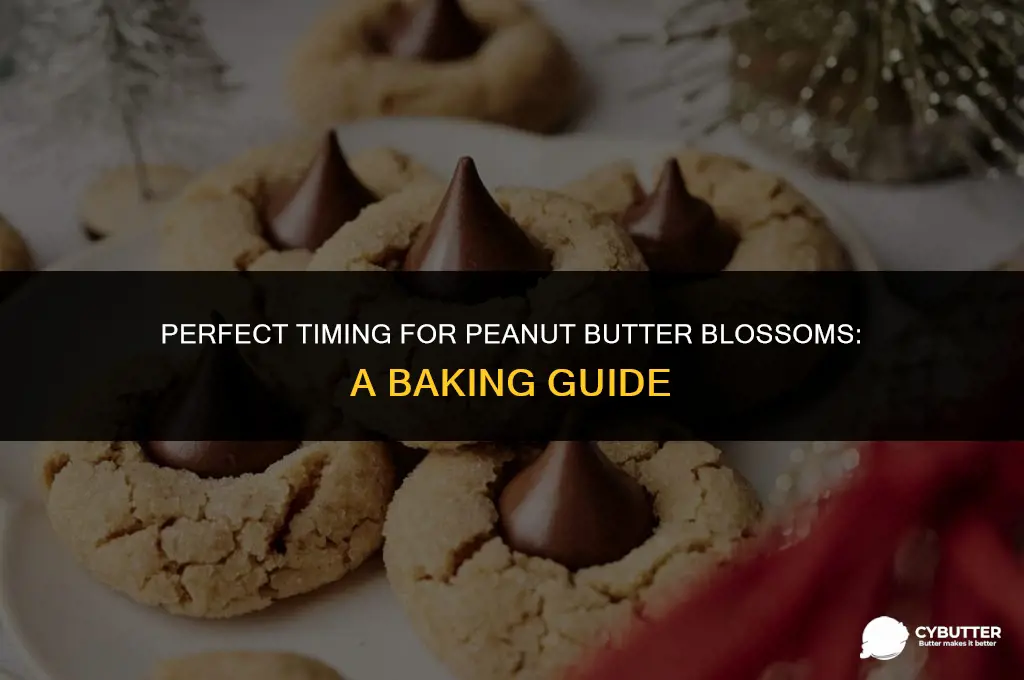 how long do you cook peanut butter blossoms