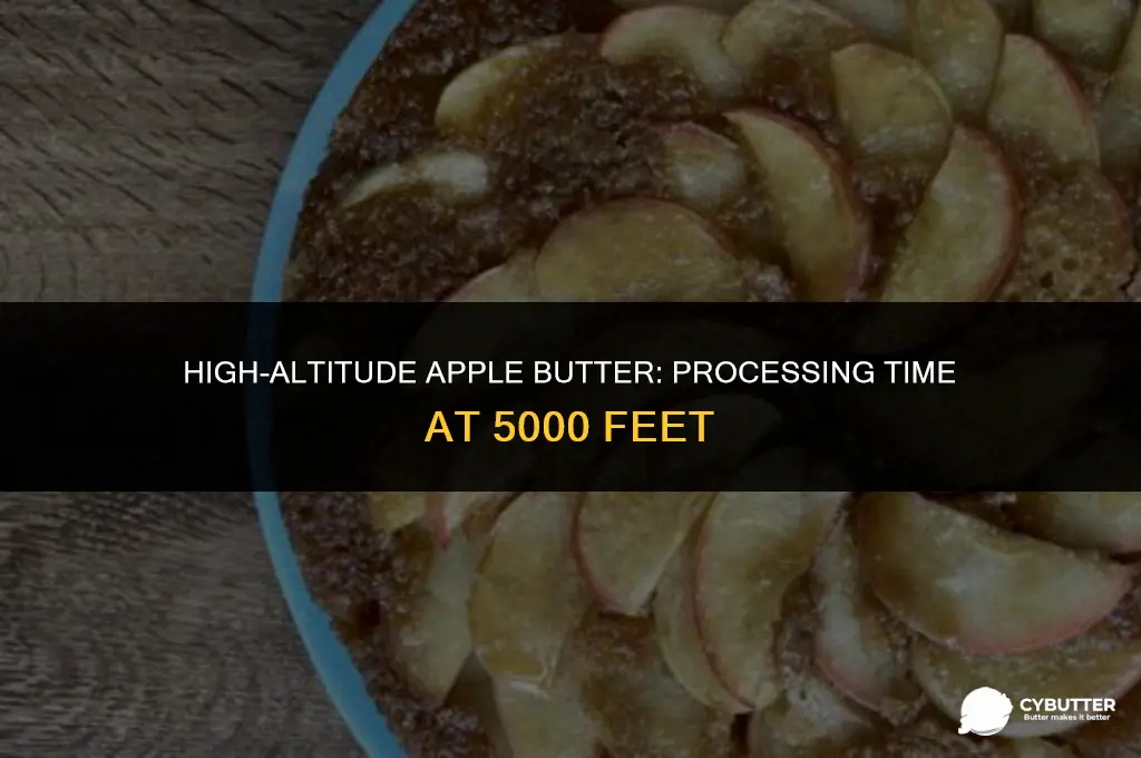 how long do you process apple butter at 5000 feet