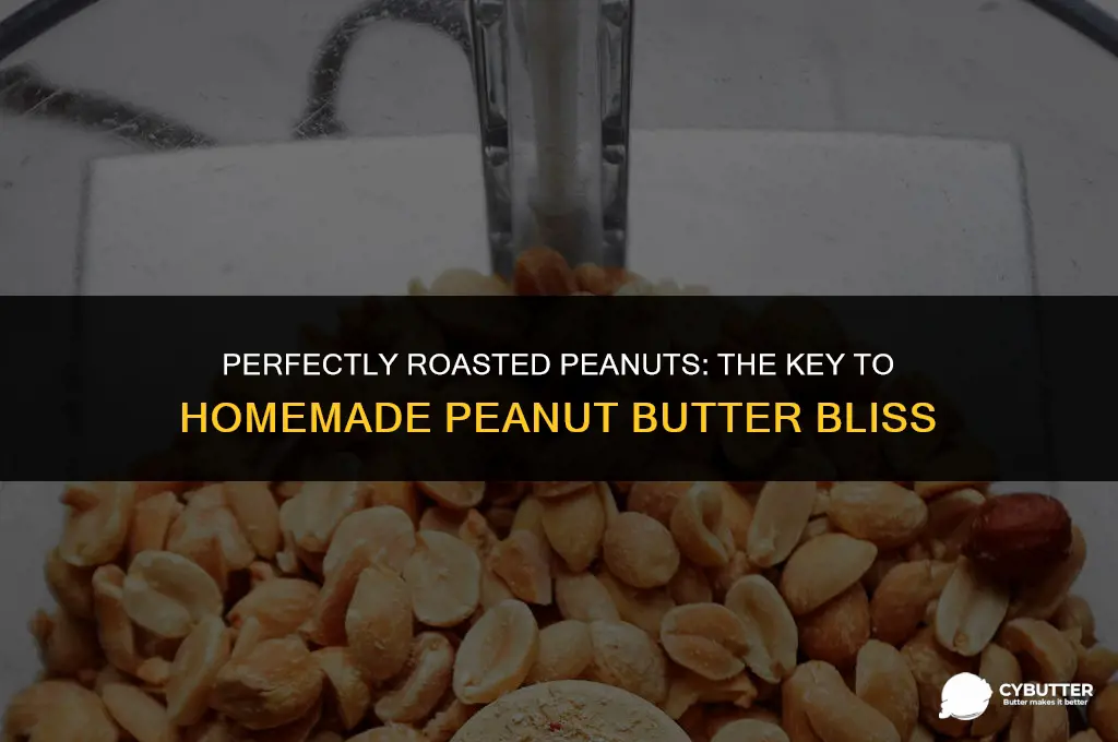 how long do you roast peanuts for peanut butter
