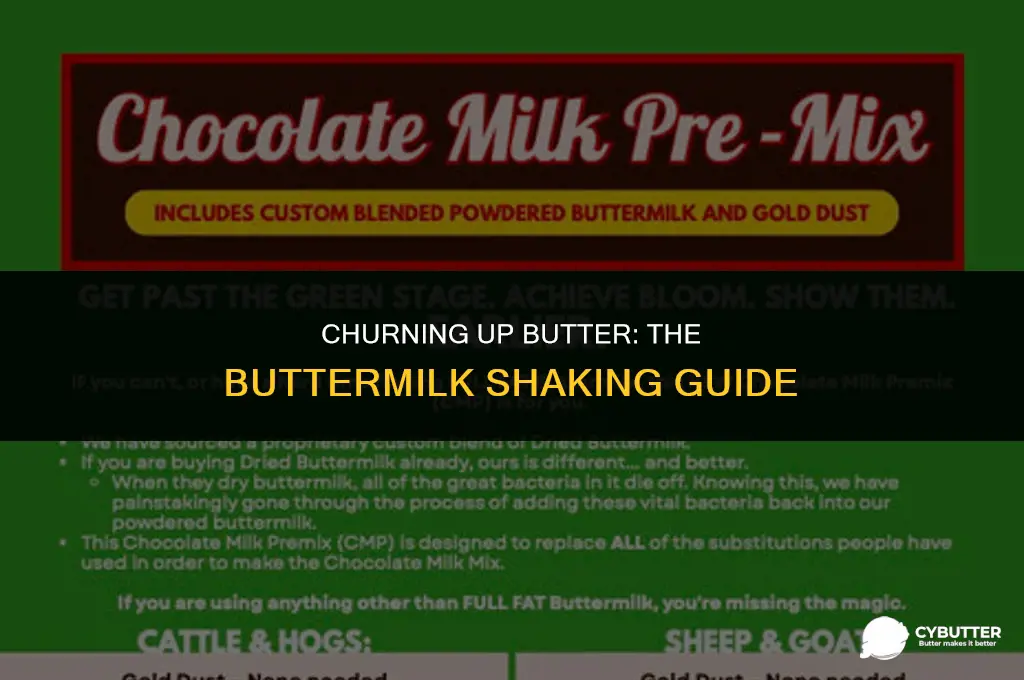 how long do you shake buttermilk for to make butter