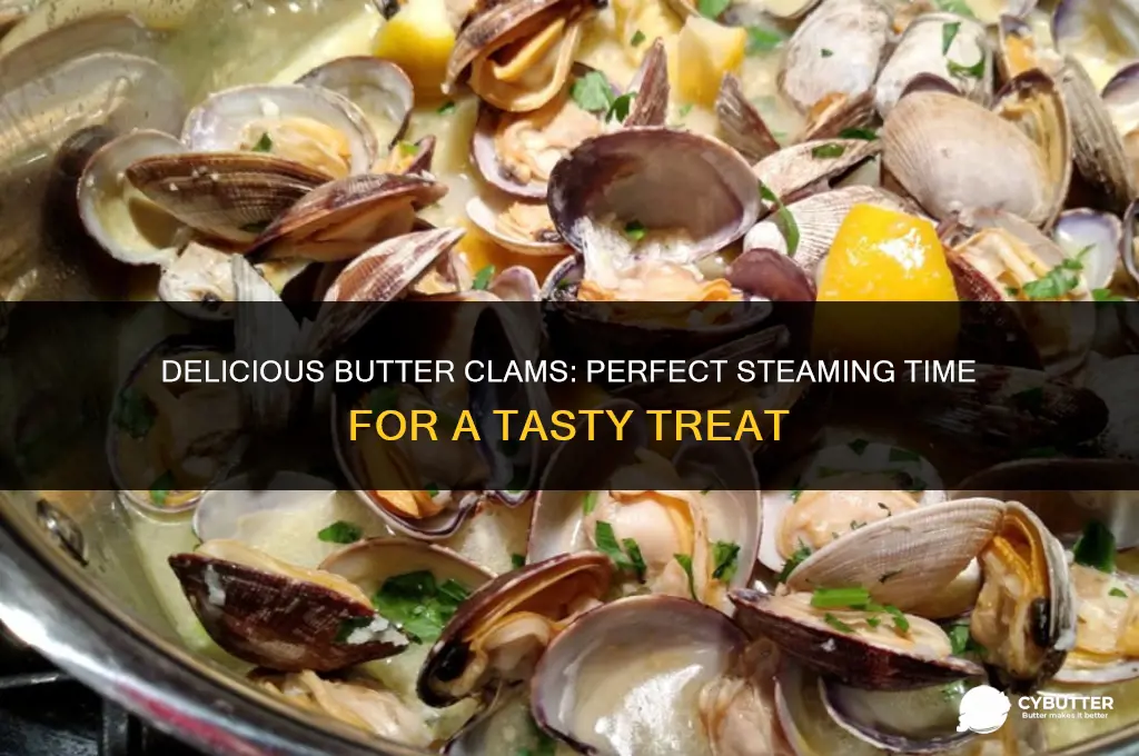 how long do you steam butter clams